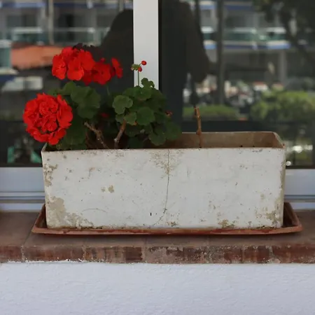 Charming Flat In Puerto Marina, *